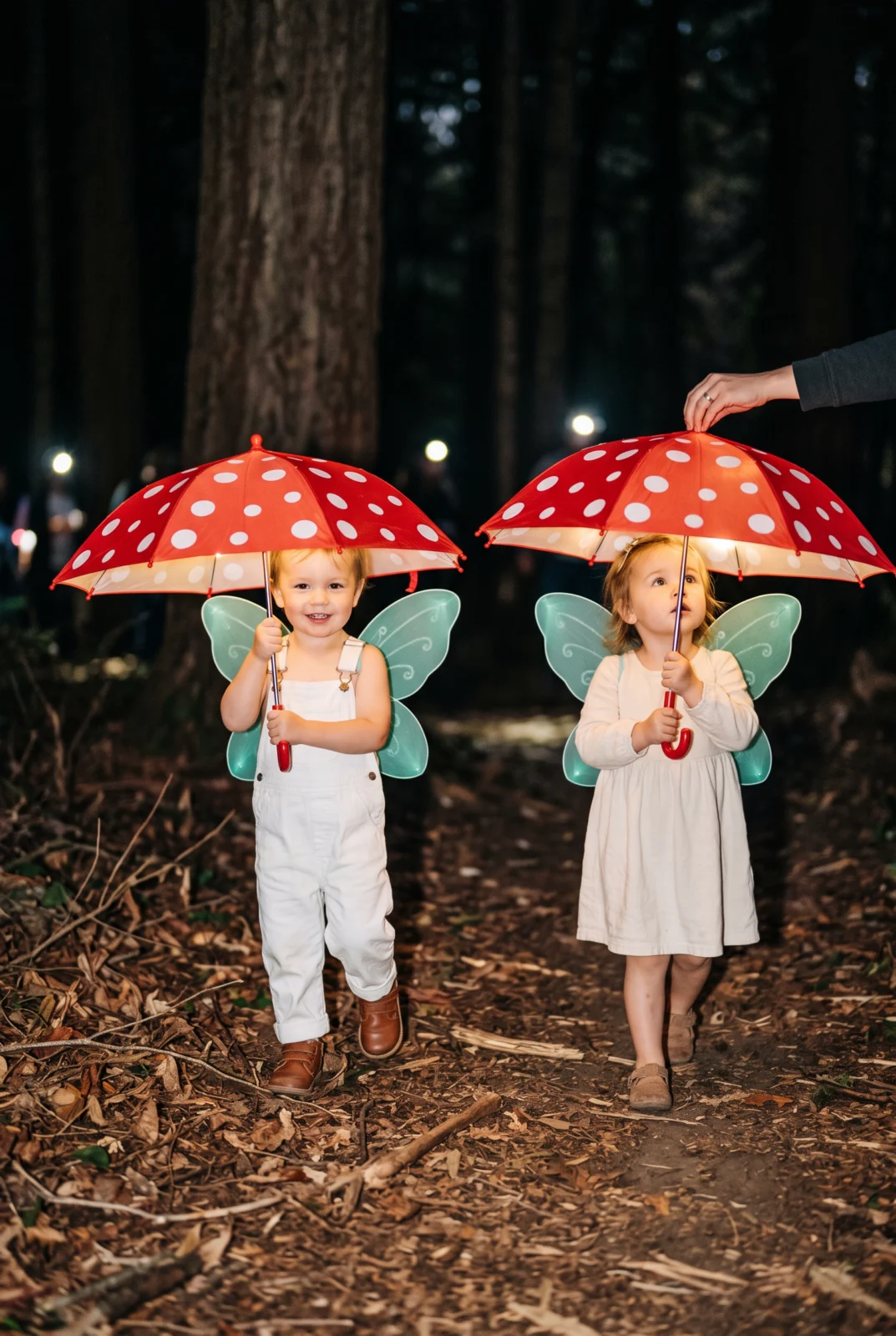 Adorable Woodland Fairy & Mushroom Umbrella Costumes
