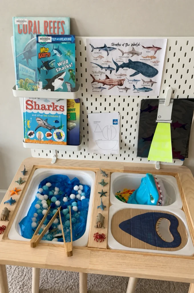 Shark Theme Sensory Table & Pegboard Play Station