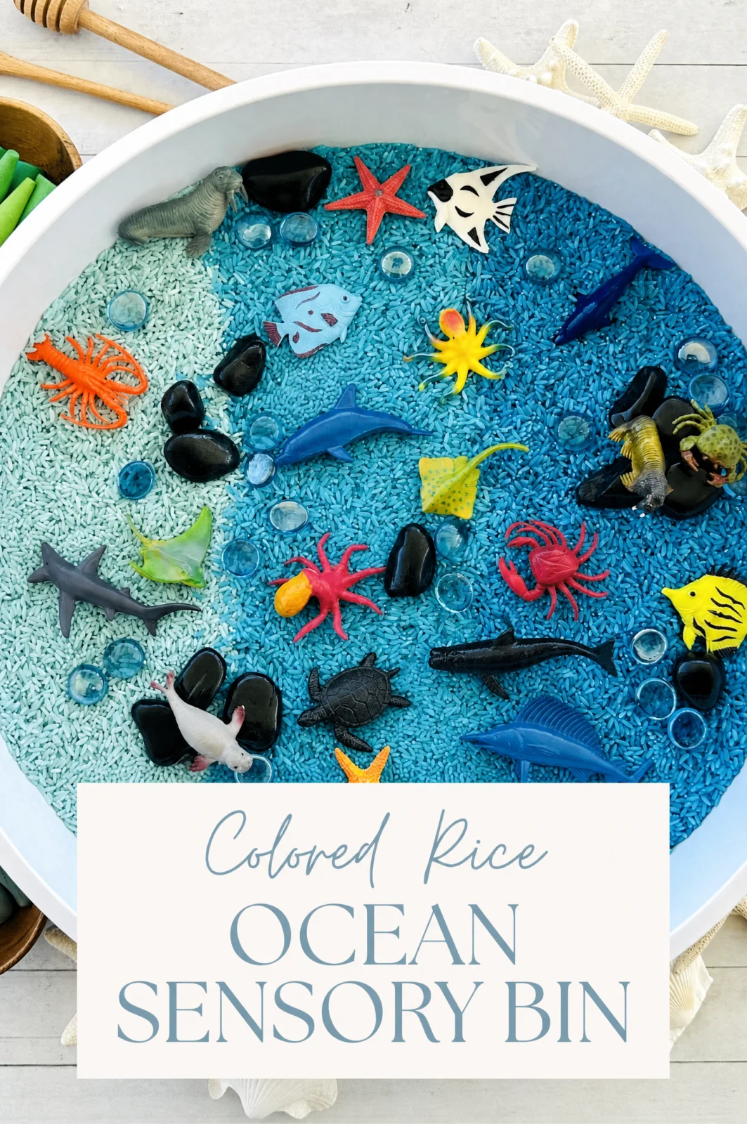 Colored Rice Ocean Sensory Bin Idea for Toddlers & Preschoolers