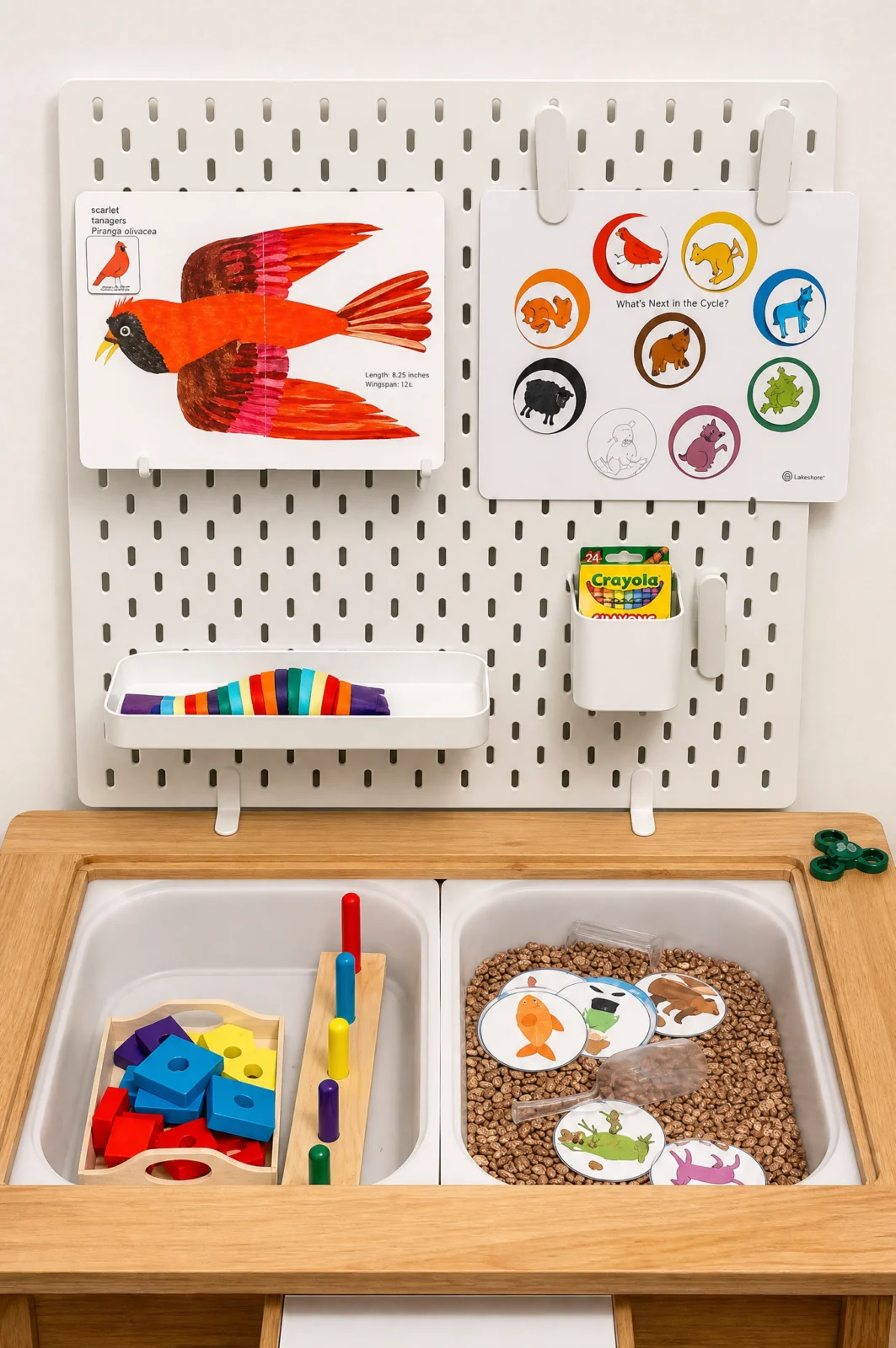 Fun Animal & Bird Sensory Bin Setup for Toddlers