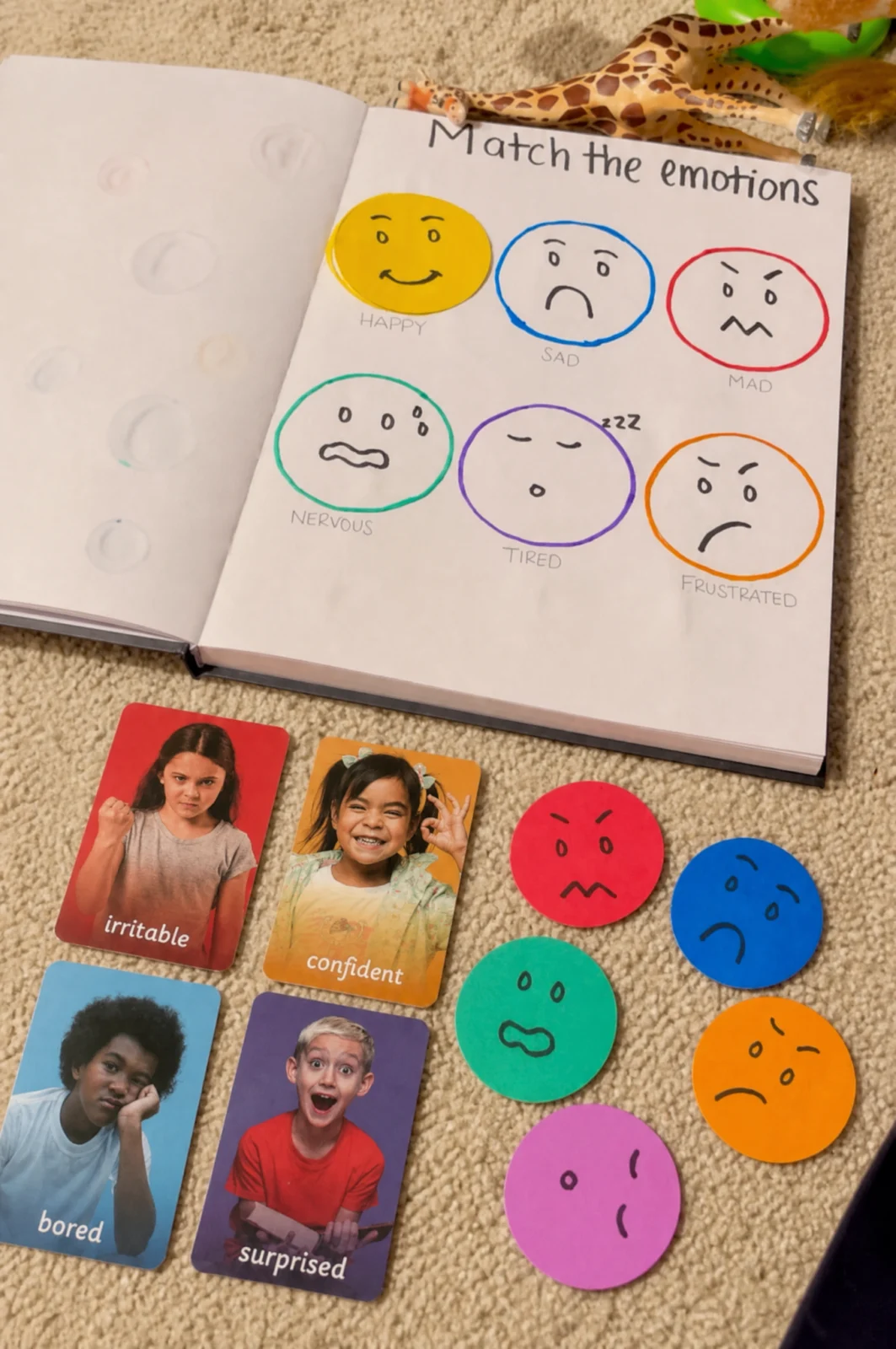 Feeling Expression Matching Game & Storybook Setup