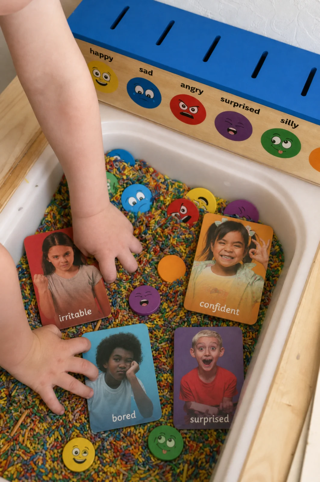 Emotion Sorting Box & Colored Rice Sensory Table