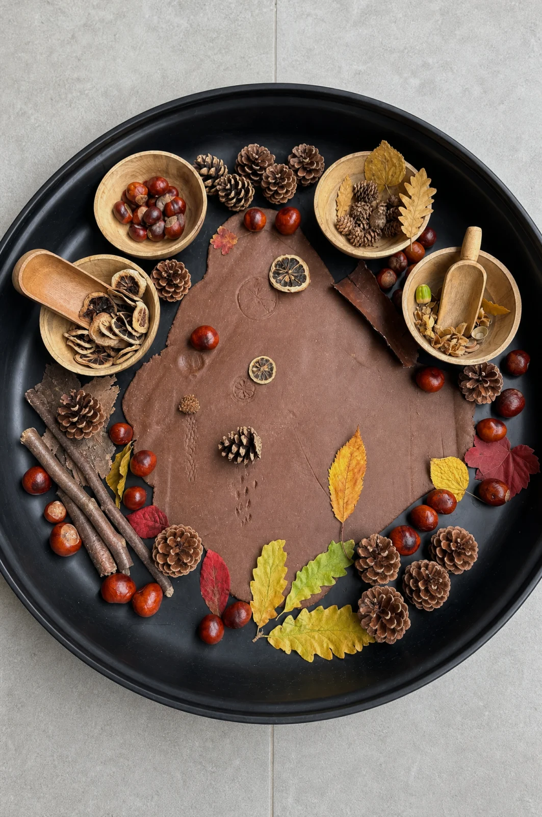 Fall Nature Playdough Tray with Cones and Leaves