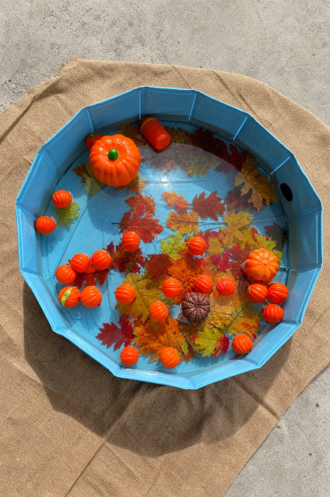 Floating Pumpkin & Fall Leaves Water Sensory Bin